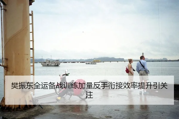 樊振东全运备战训练加量反手衔接效率提升引关注