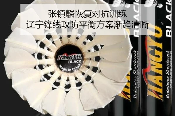 张镇麟恢复对抗训练 辽宁锋线攻防平衡方案渐趋清晰 | bet365app